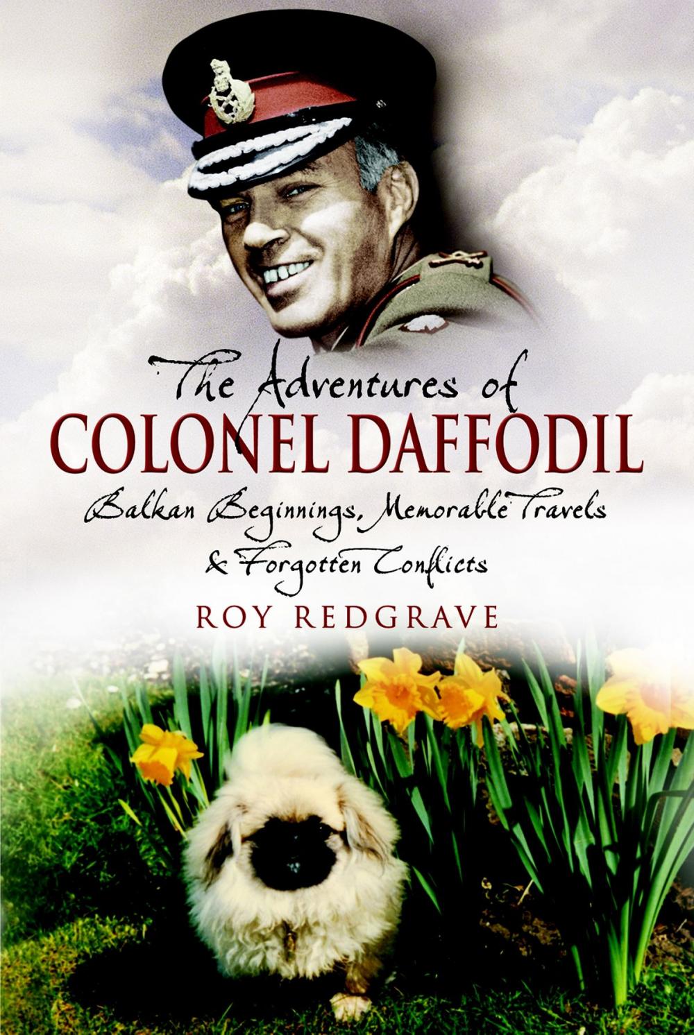 Big bigCover of Adventures of Colonel Daffodil