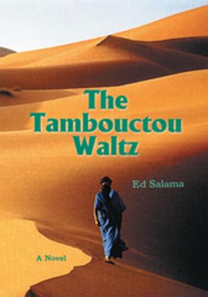 Book cover of The Tombouctou Waltz