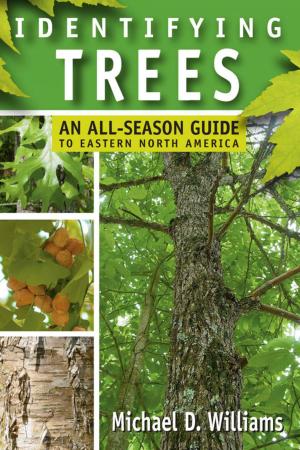 Cover of the book Identifying Trees by Richard Weaver
