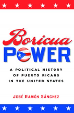 Cover of the book Boricua Power by David Cay Johnston