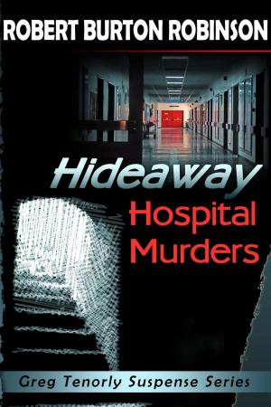 bigCover of the book Hideaway Hospital Murders by 