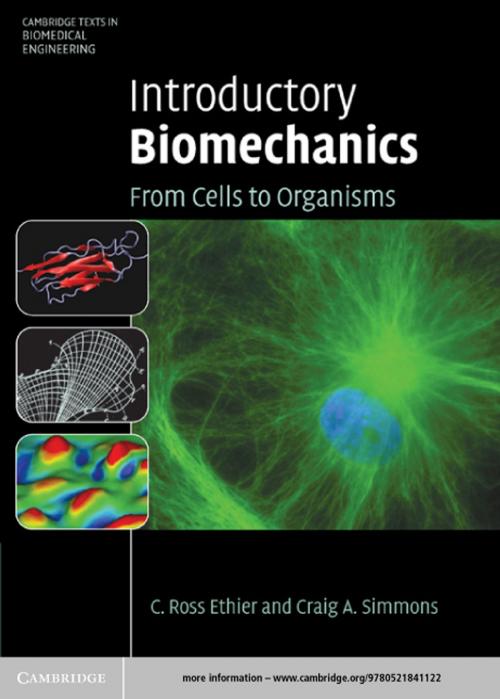 Cover of the book Introductory Biomechanics by C. Ross Ethier, Craig A. Simmons, Cambridge University Press