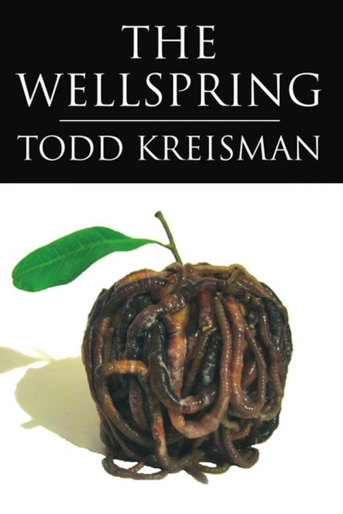 Cover of the book The Wellspring by Todd Kreisman, Xlibris US