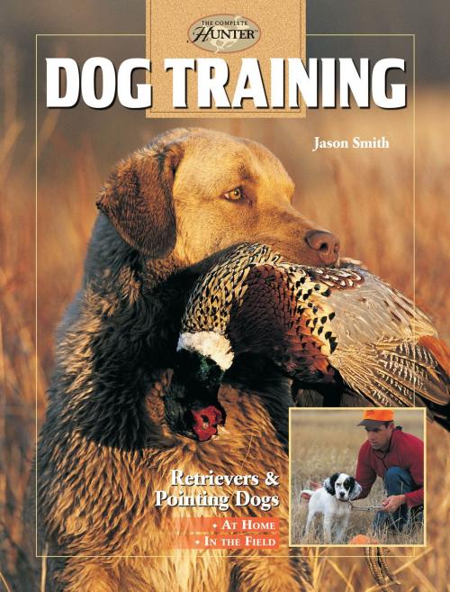 Cover of the book Dog Training: Retrievers and Pointing Dogs by Jason Smith, Creative Publishing international