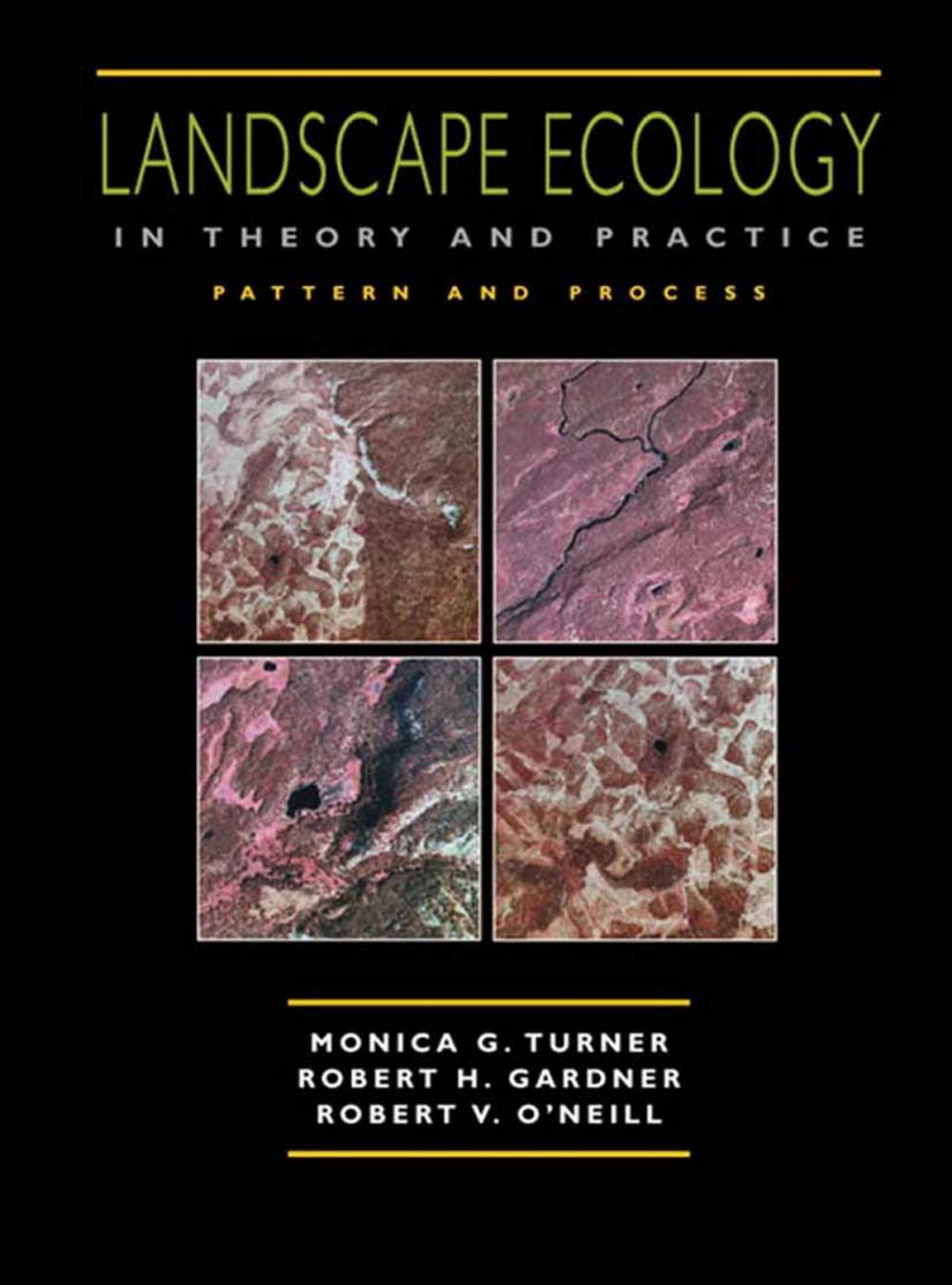 Big bigCover of Landscape Ecology in Theory and Practice