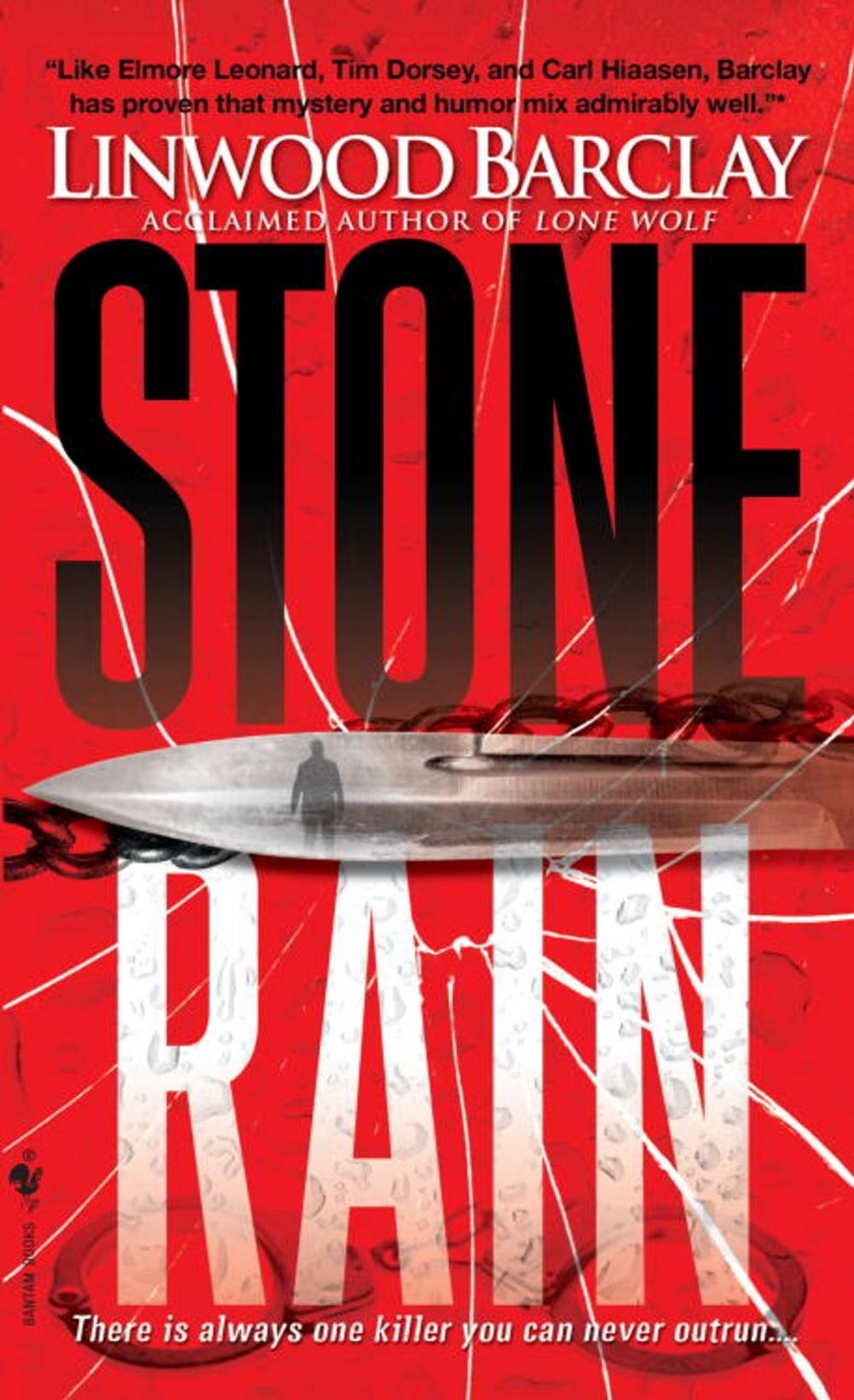 Big bigCover of Stone Rain