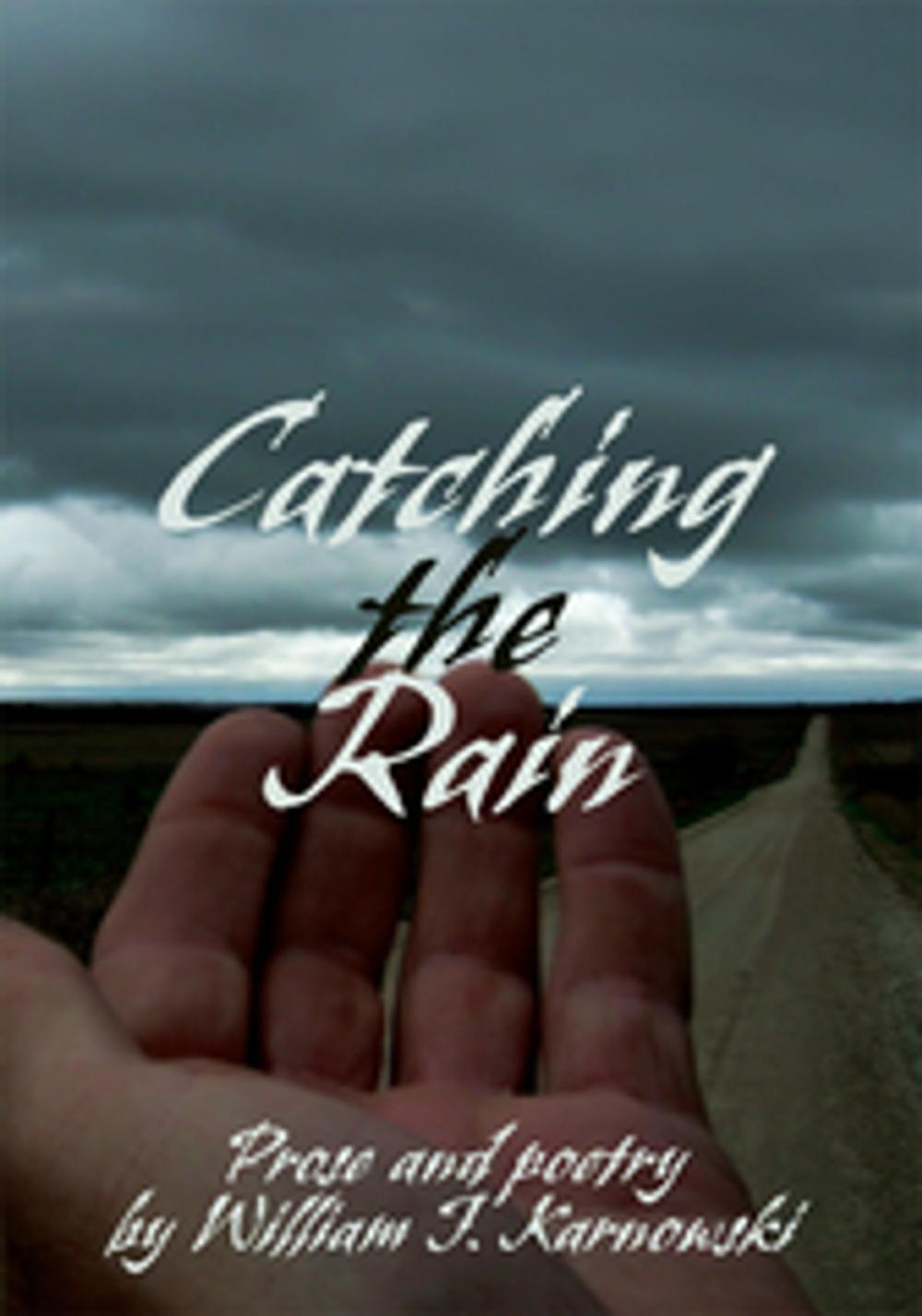 Big bigCover of Catching the Rain