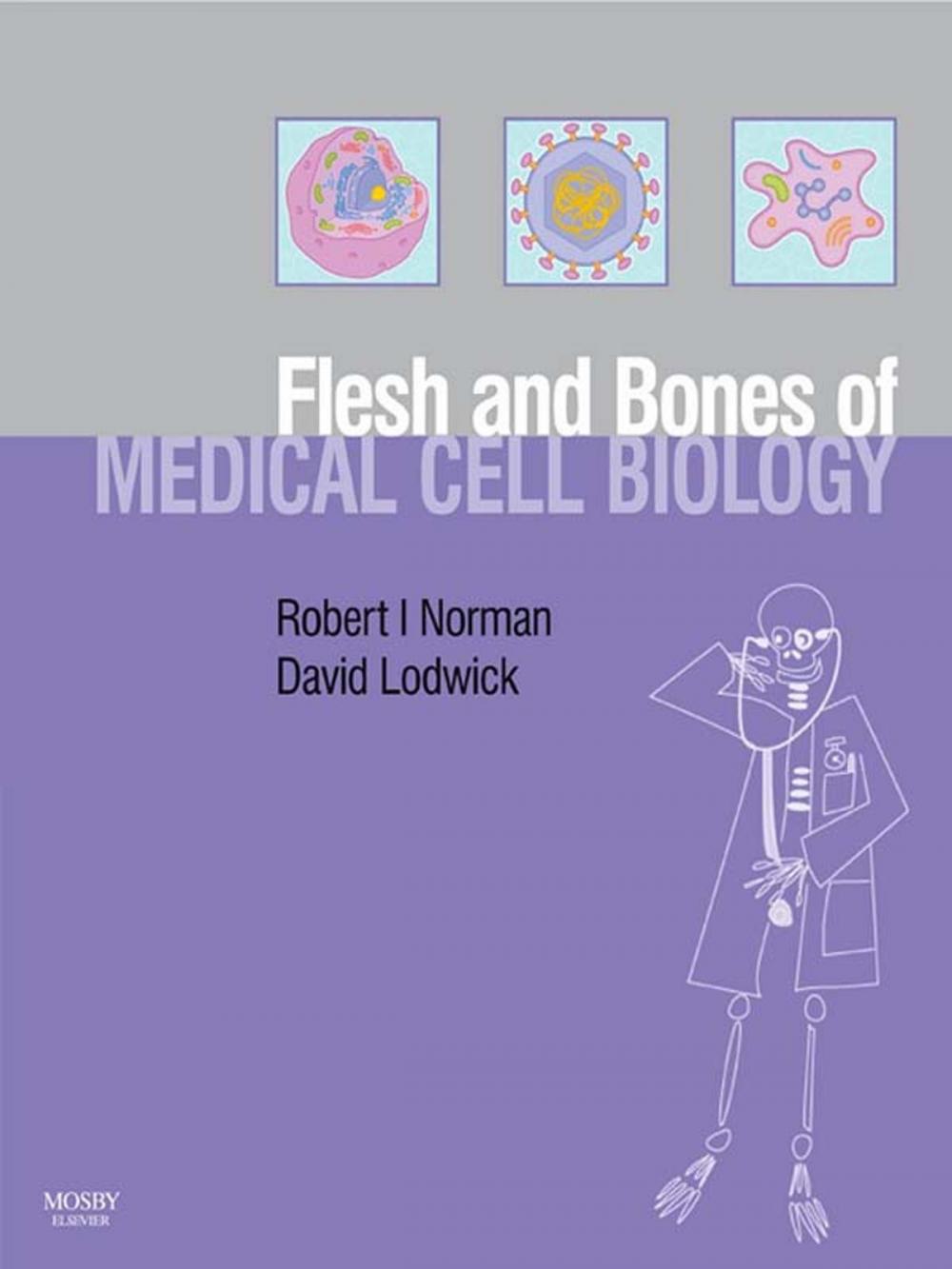 Big bigCover of The Flesh and Bones of Medical Cell Biology