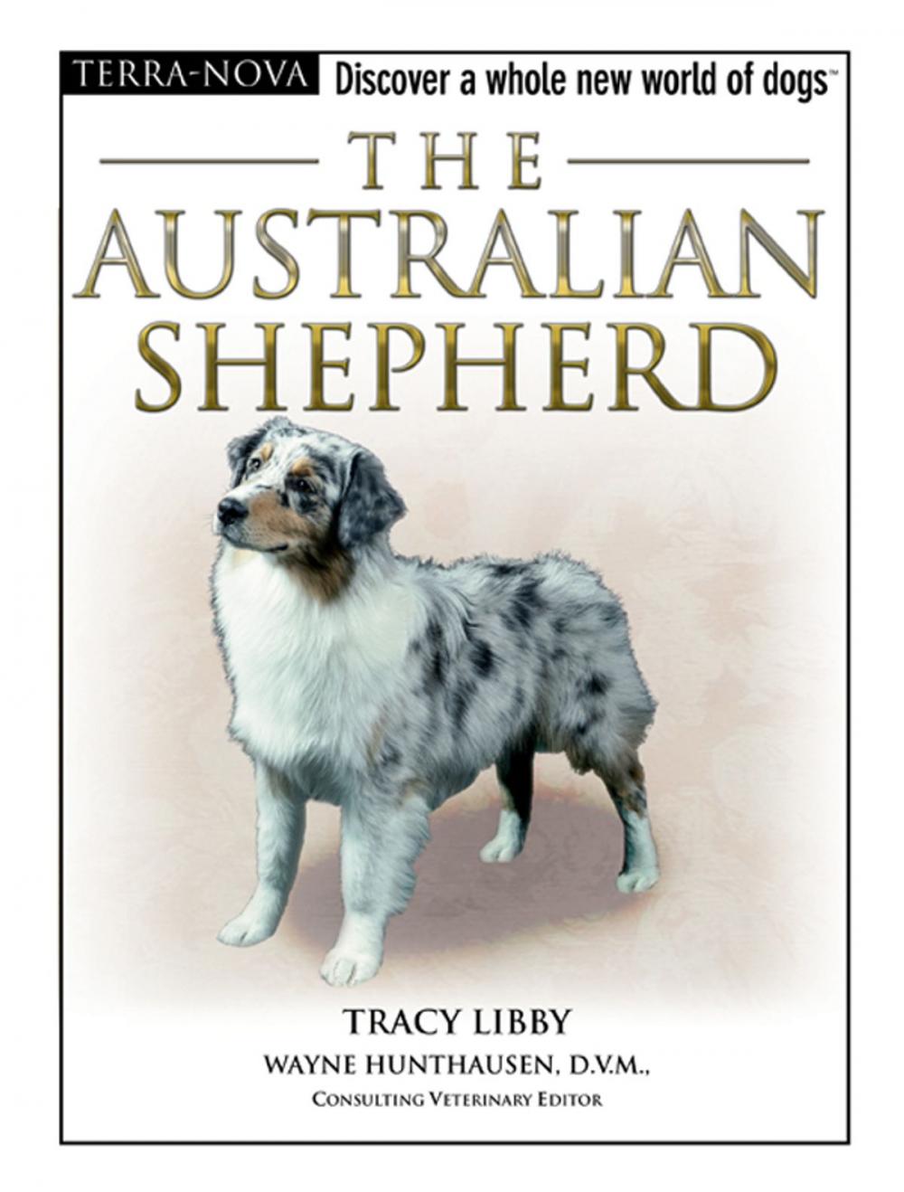 Big bigCover of The Australian Shepherd
