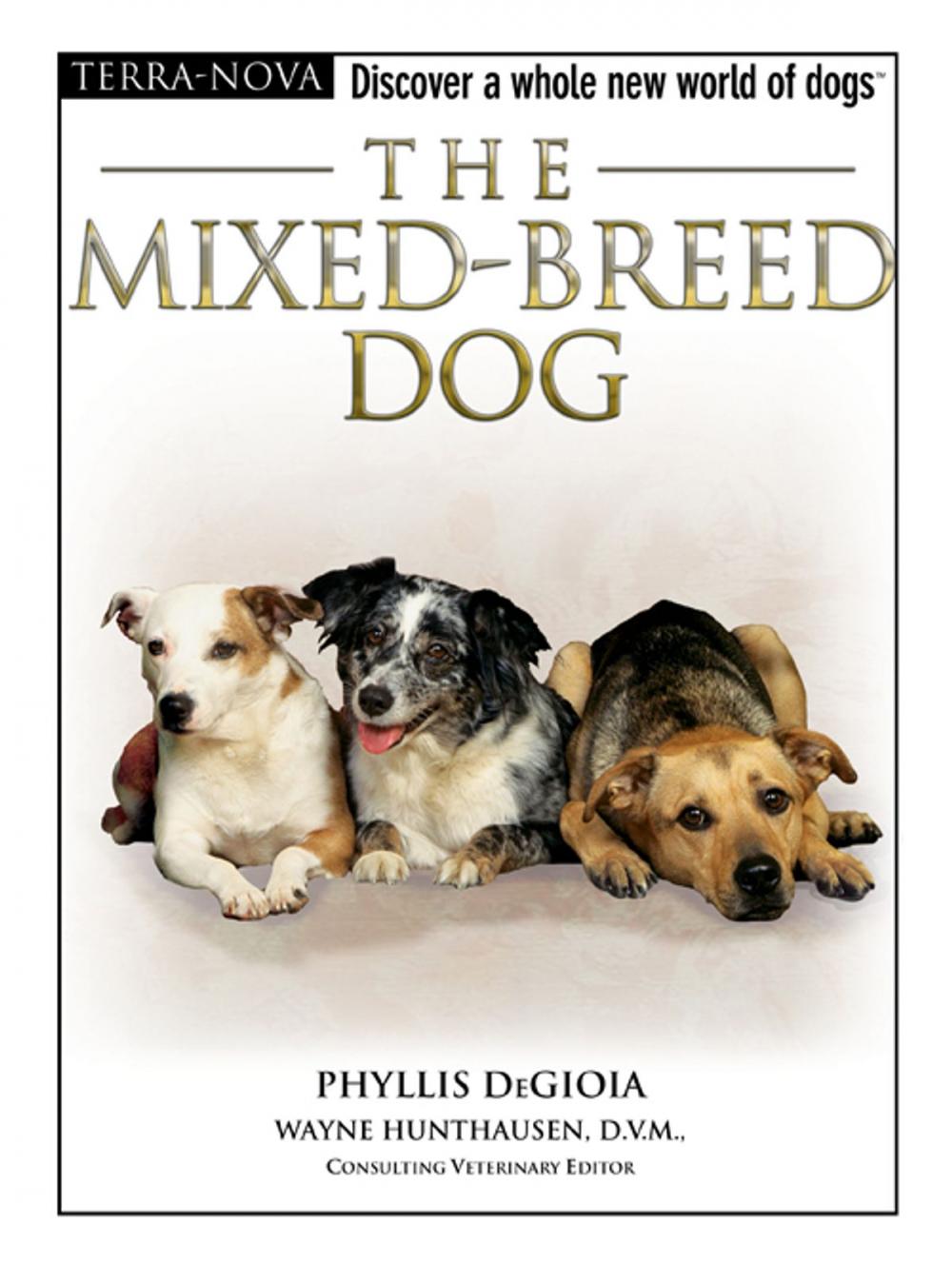 Big bigCover of The Mixed-Breed Dog