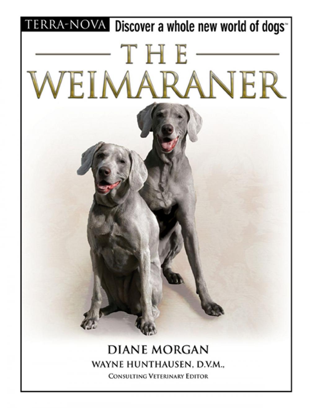 Big bigCover of The Weimaraner