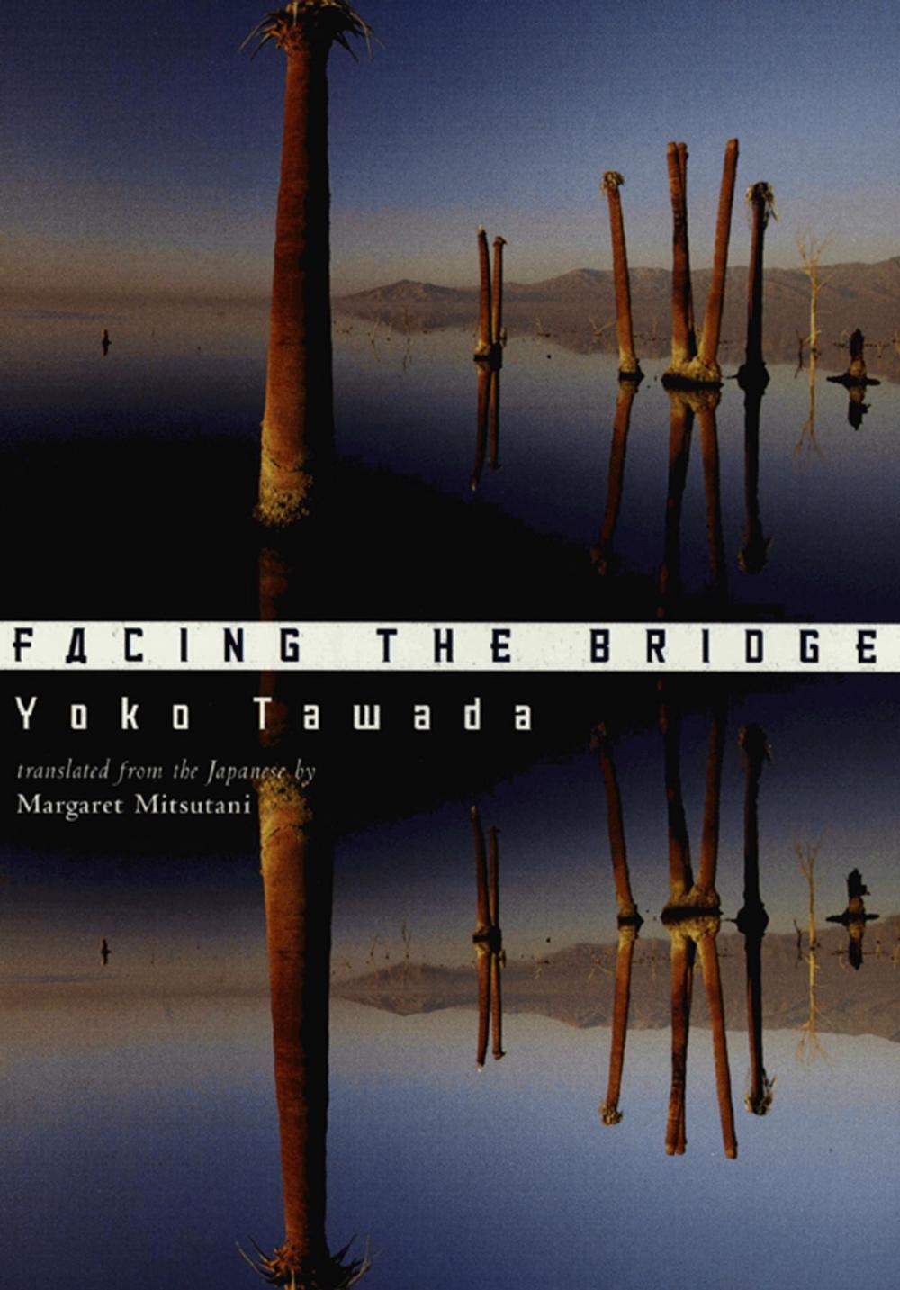 Big bigCover of Facing the Bridge