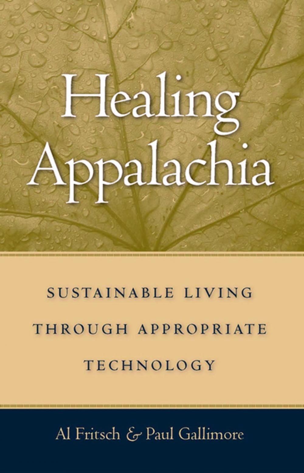 Big bigCover of Healing Appalachia