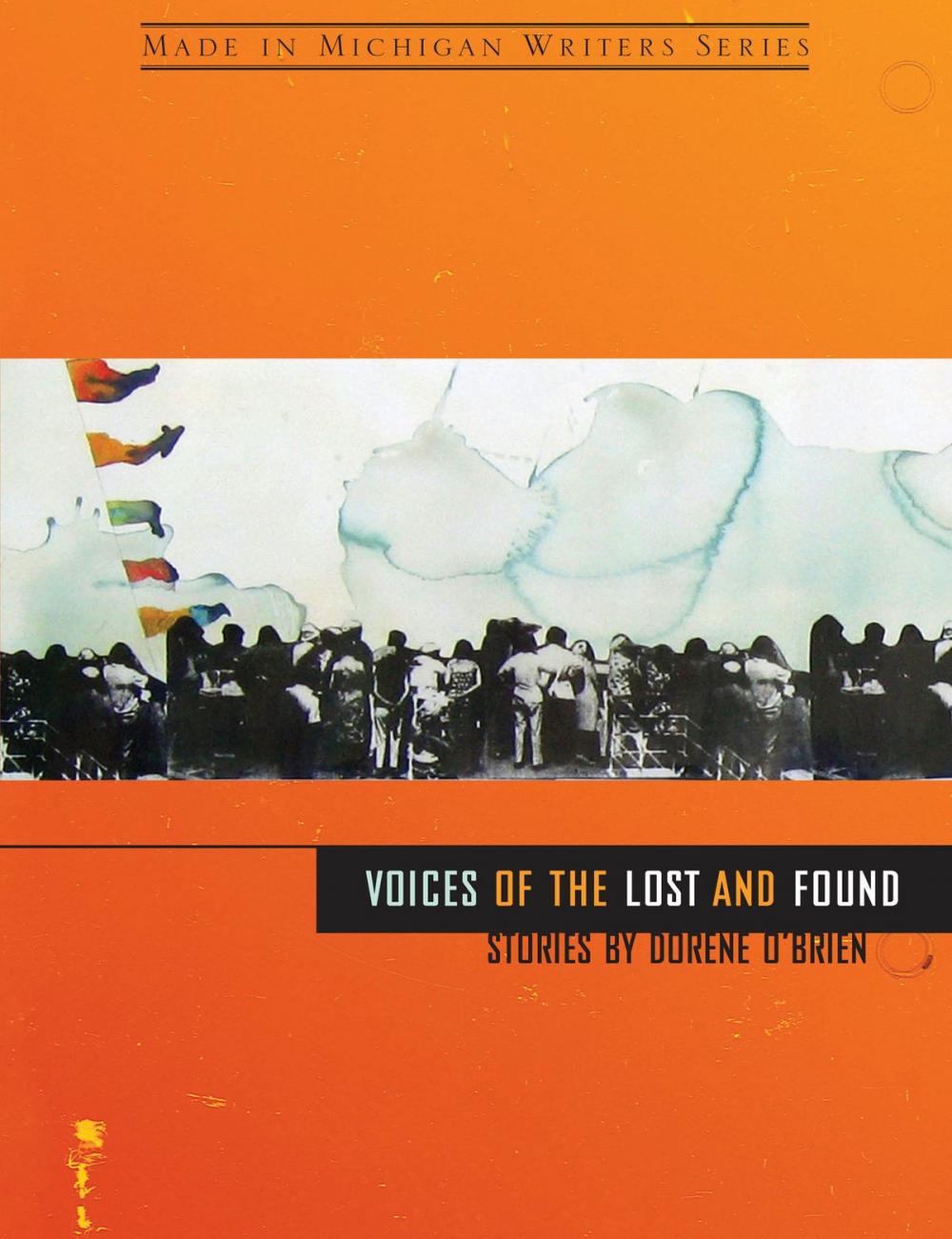 Big bigCover of Voices of the Lost and Found