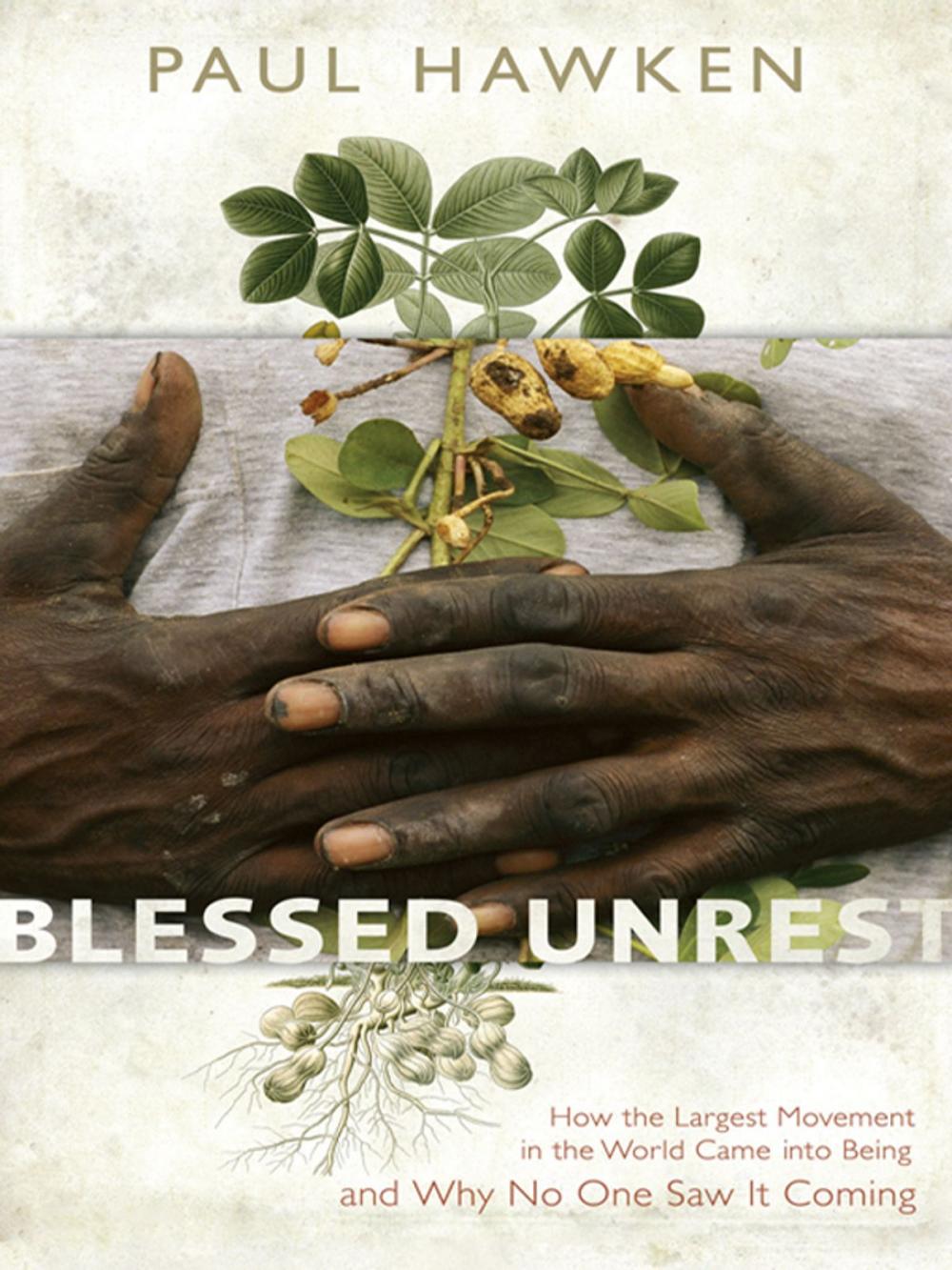 Big bigCover of Blessed Unrest