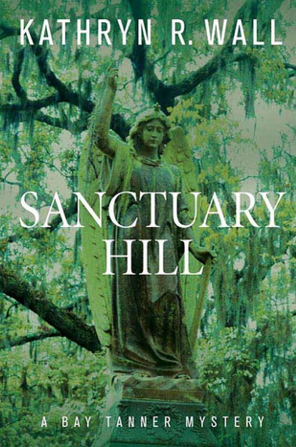 Big bigCover of Sanctuary Hill