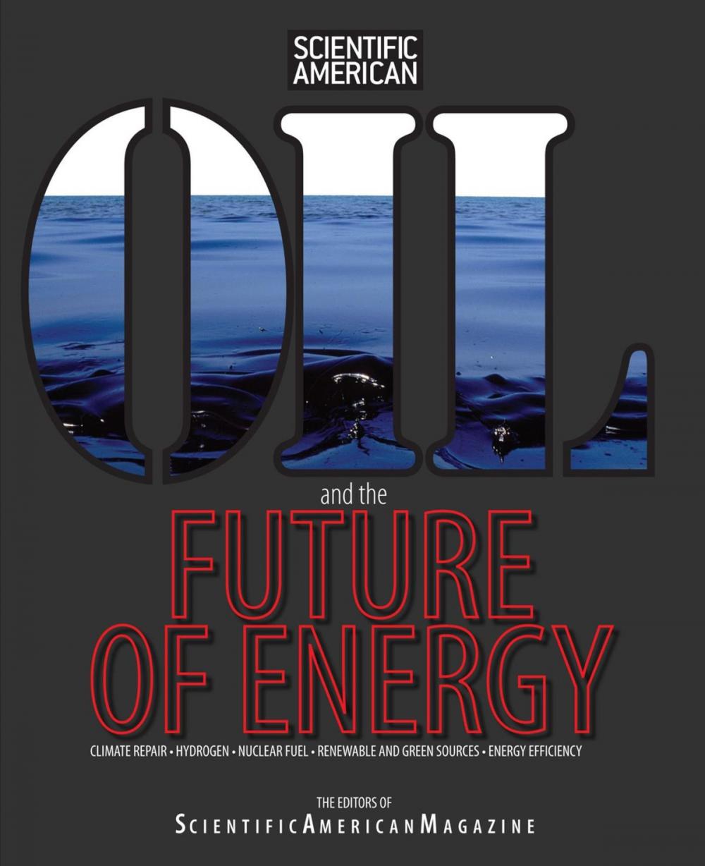 Big bigCover of Oil and the Future of Energy