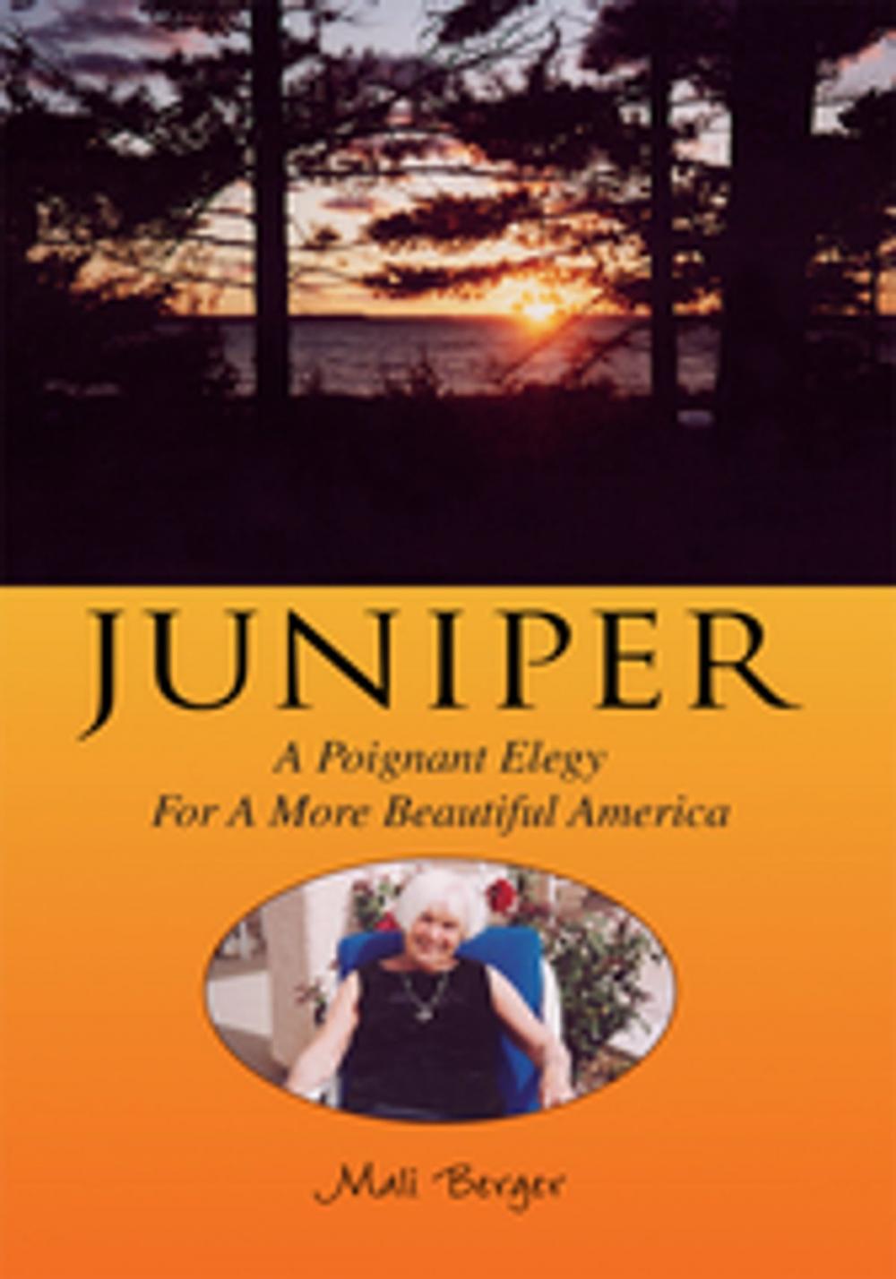 Big bigCover of Juniper