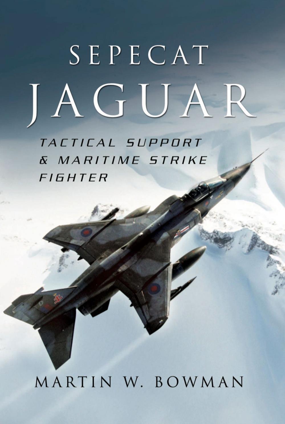 Big bigCover of Sepecat Jaguar