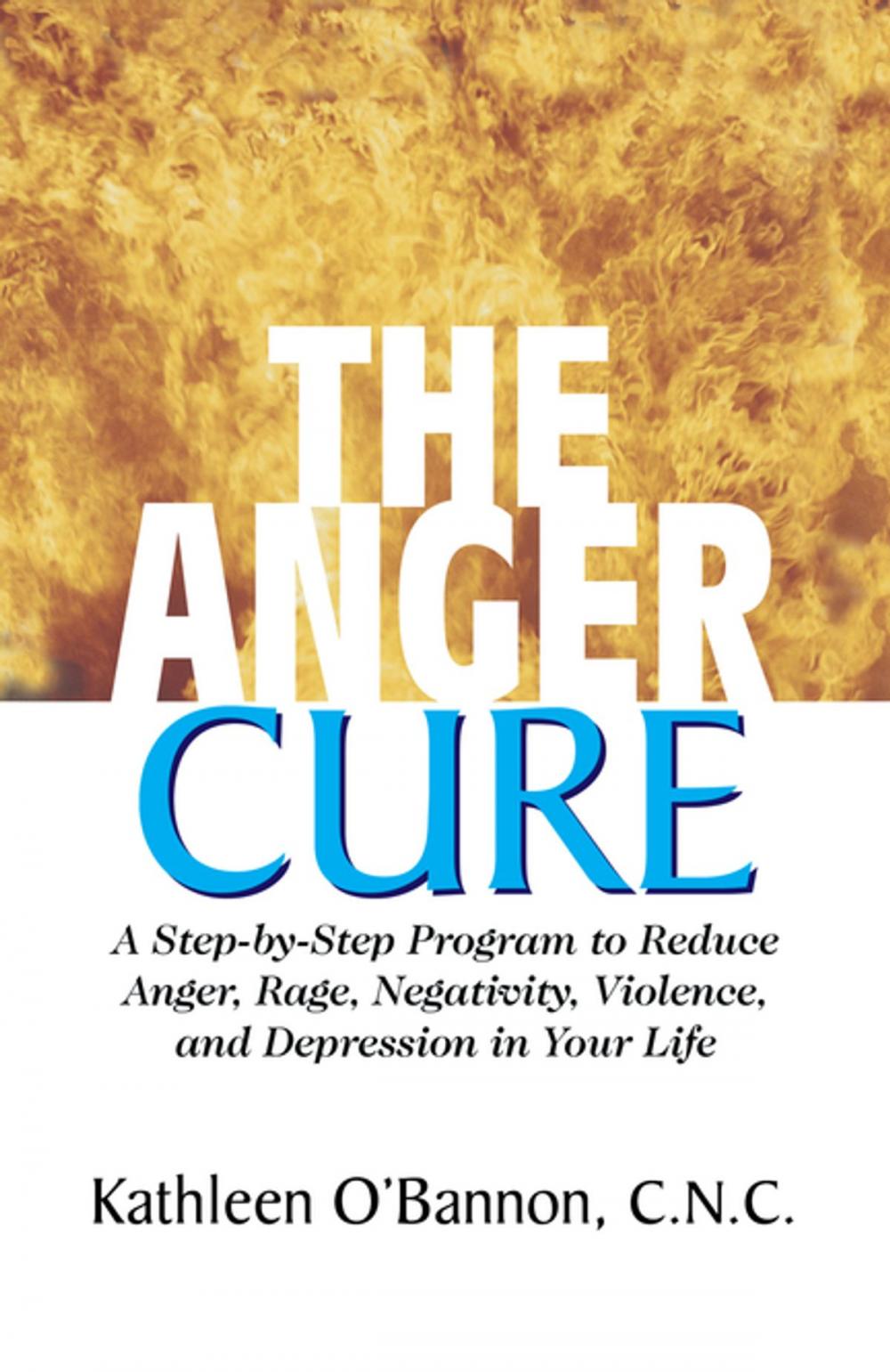 Big bigCover of The Anger Cure