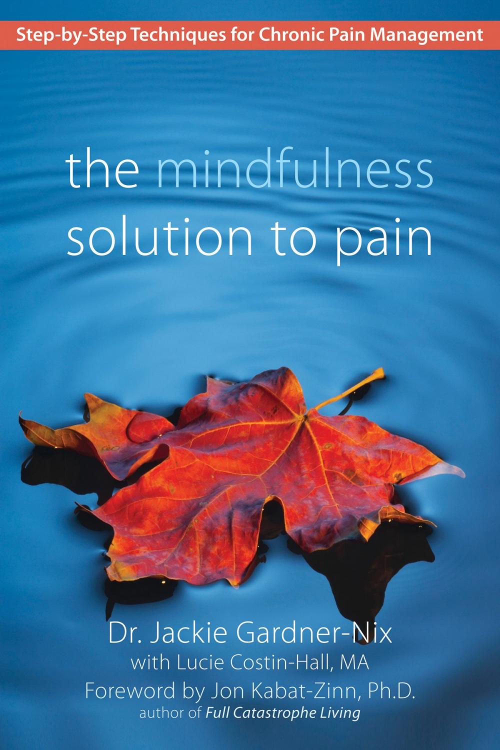 Big bigCover of The Mindfulness Solution to Pain