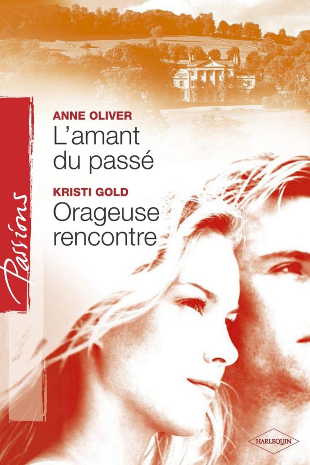 Big bigCover of L'amant du passé - Orageuse rencontre (Harlequin Passions)