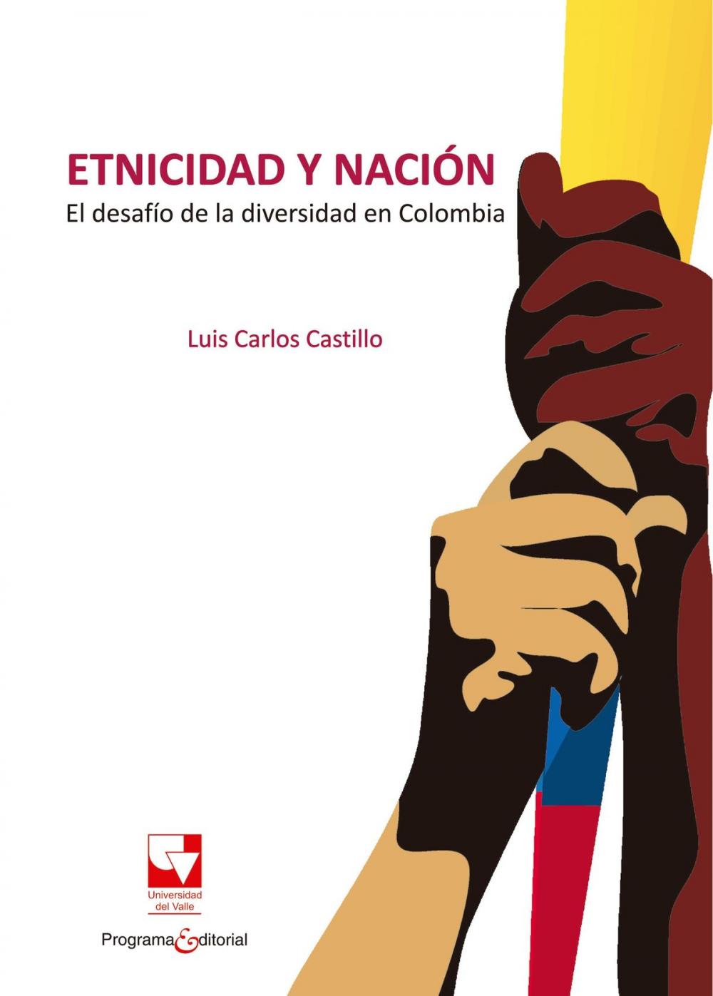 Big bigCover of Etnicidad y nación