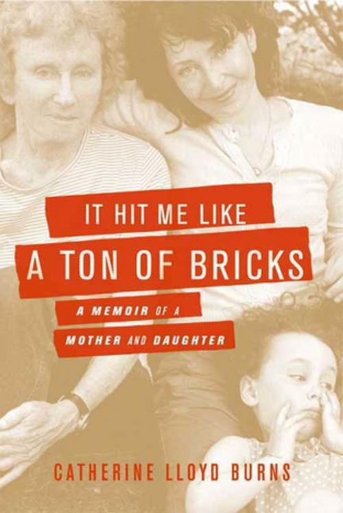 Cover of the book It Hit Me Like a Ton of Bricks by Catherine Lloyd Burns, Farrar, Straus and Giroux