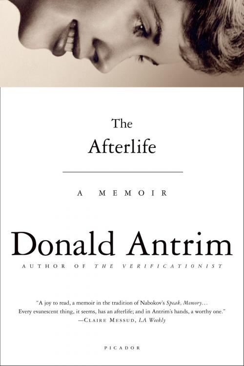 Cover of the book The Afterlife by Donald Antrim, Farrar, Straus and Giroux