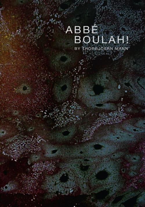 Cover of the book Abbe Boulah! by Thorbjoern Mann, Xlibris US