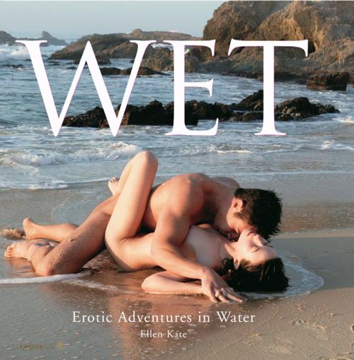 Cover of the book Wet by Ellen Kate, Fair Winds Press