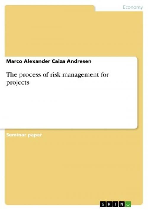 Cover of the book The process of risk management for projects by Marco Alexander Caiza Andresen, GRIN Verlag