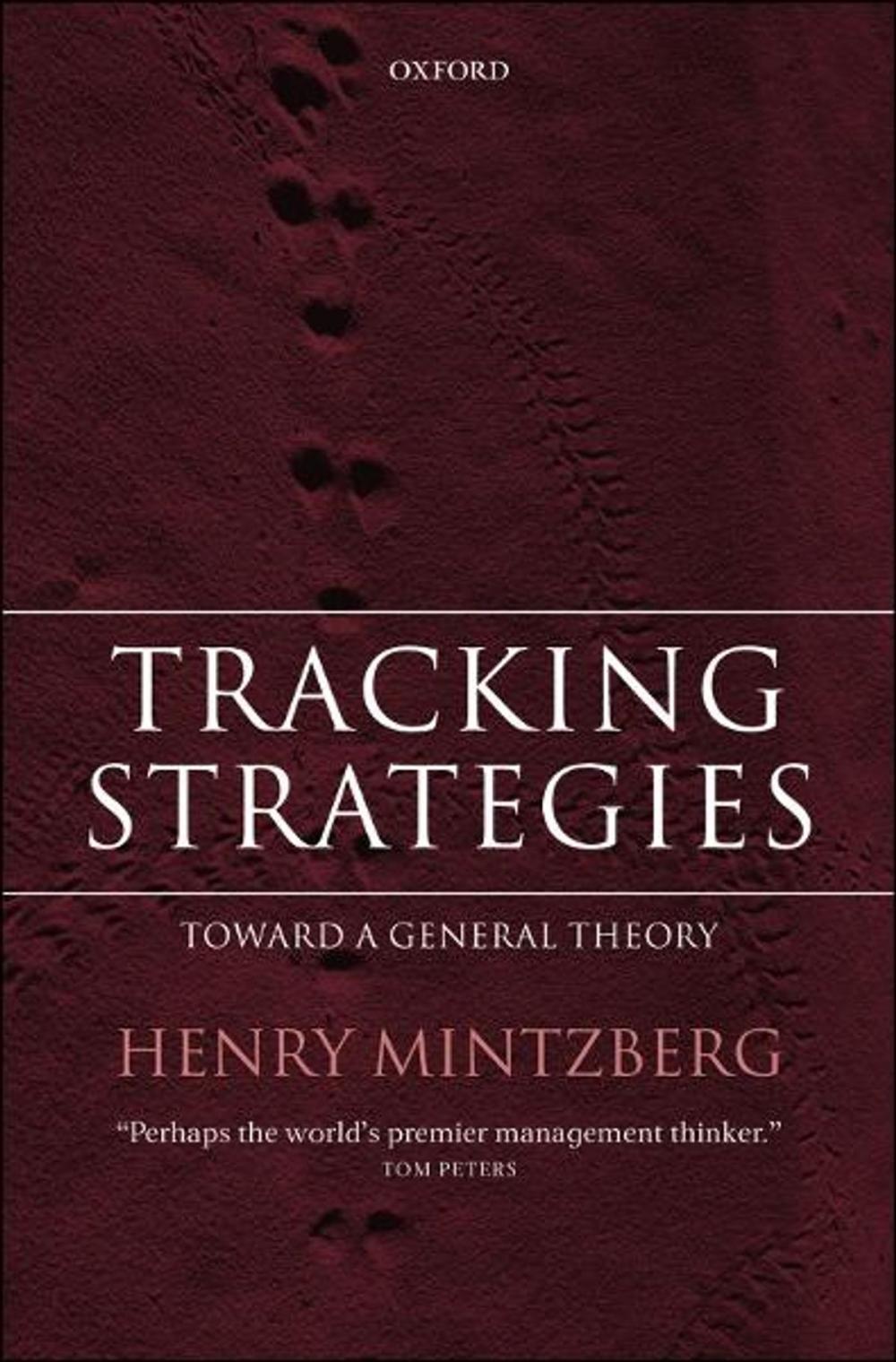 Big bigCover of Tracking Strategies