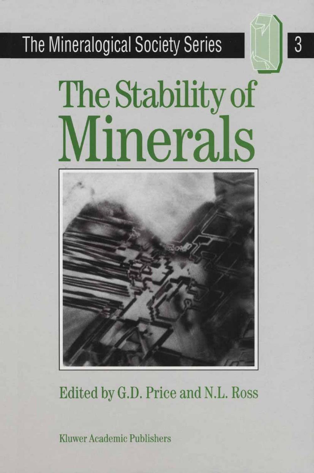 Big bigCover of The Stability of Minerals