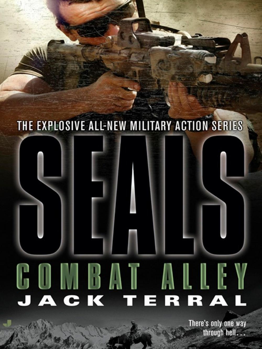Big bigCover of Seals: Combat Alley