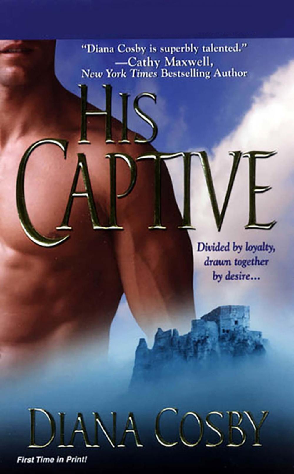 Big bigCover of His Captive