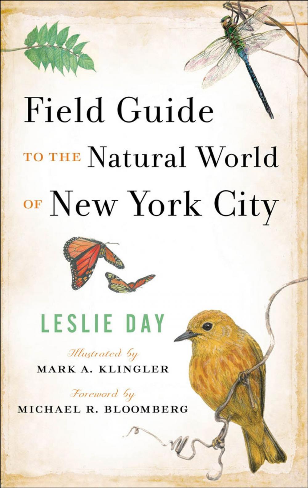 Big bigCover of Field Guide to the Natural World of New York City