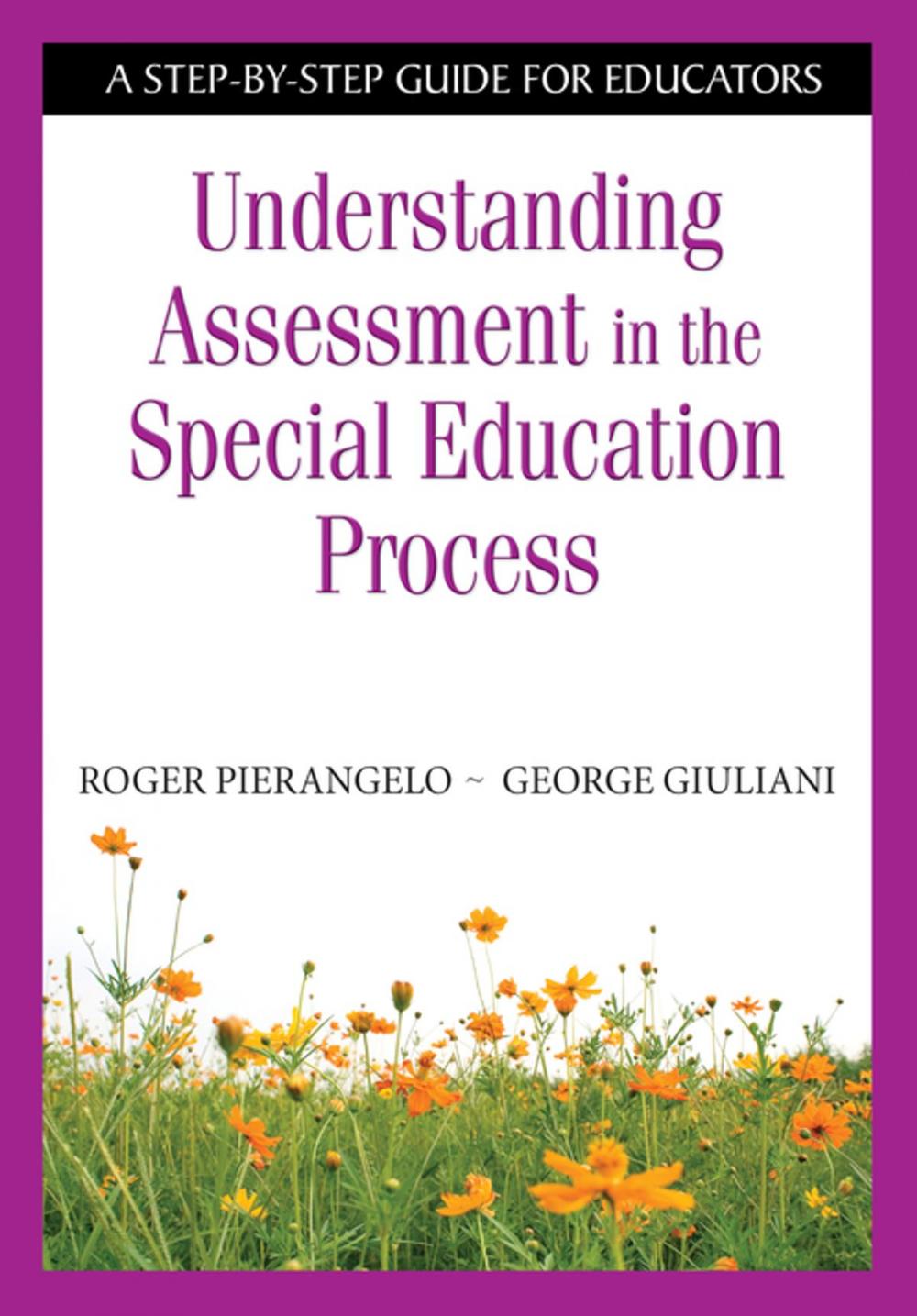 Big bigCover of Understanding Assessment in the Special Education Process