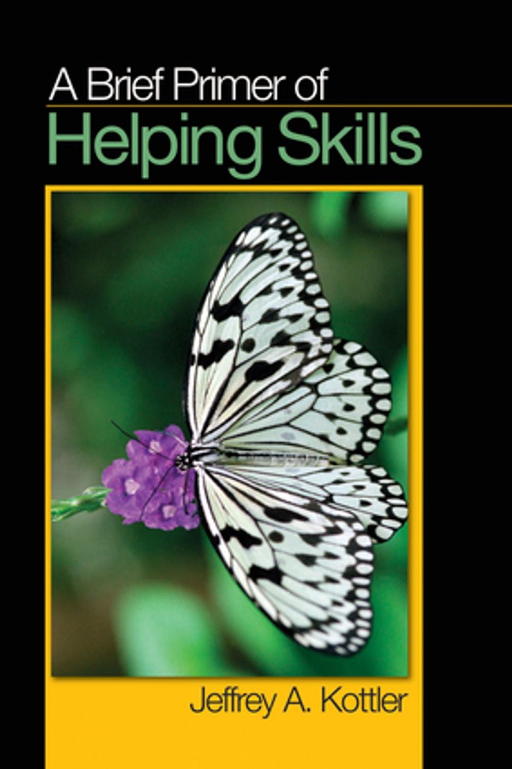 Big bigCover of A Brief Primer of Helping Skills