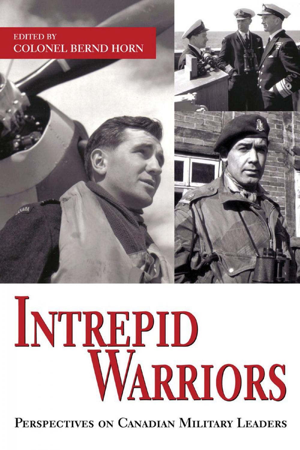 Big bigCover of Intrepid Warriors