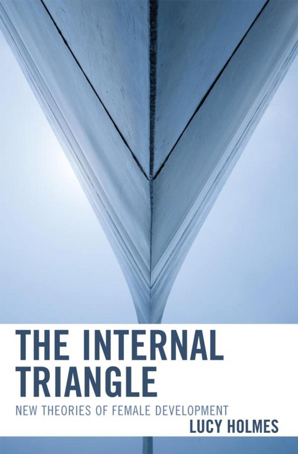 Big bigCover of The Internal Triangle