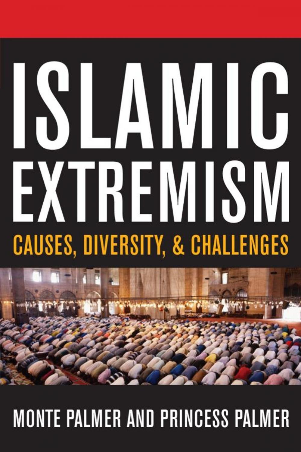 Big bigCover of Islamic Extremism