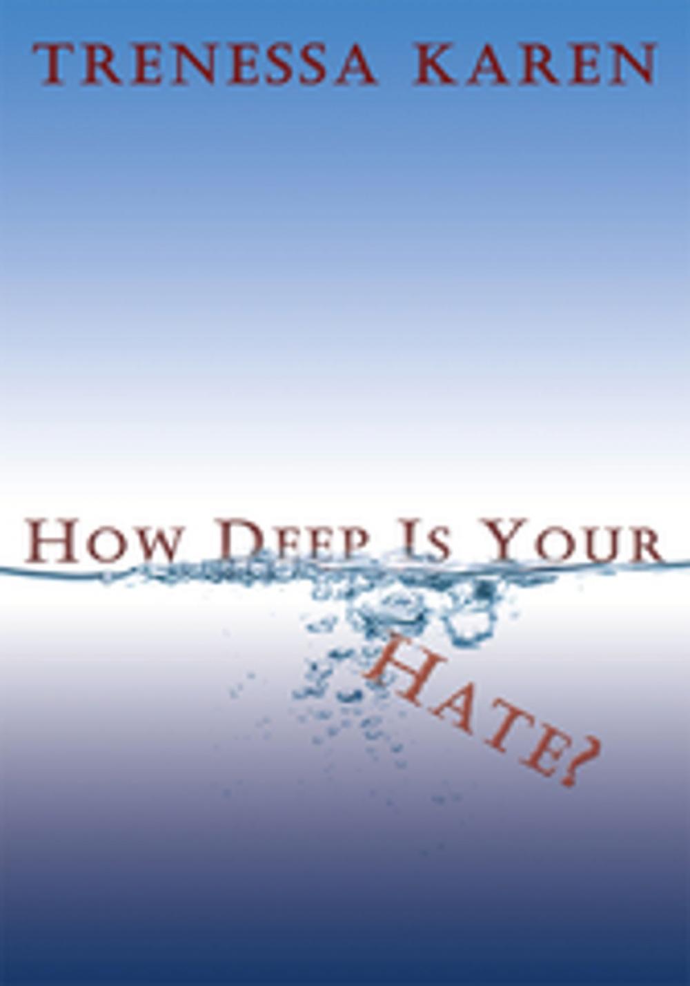 Big bigCover of How Deep Is Your Hate?