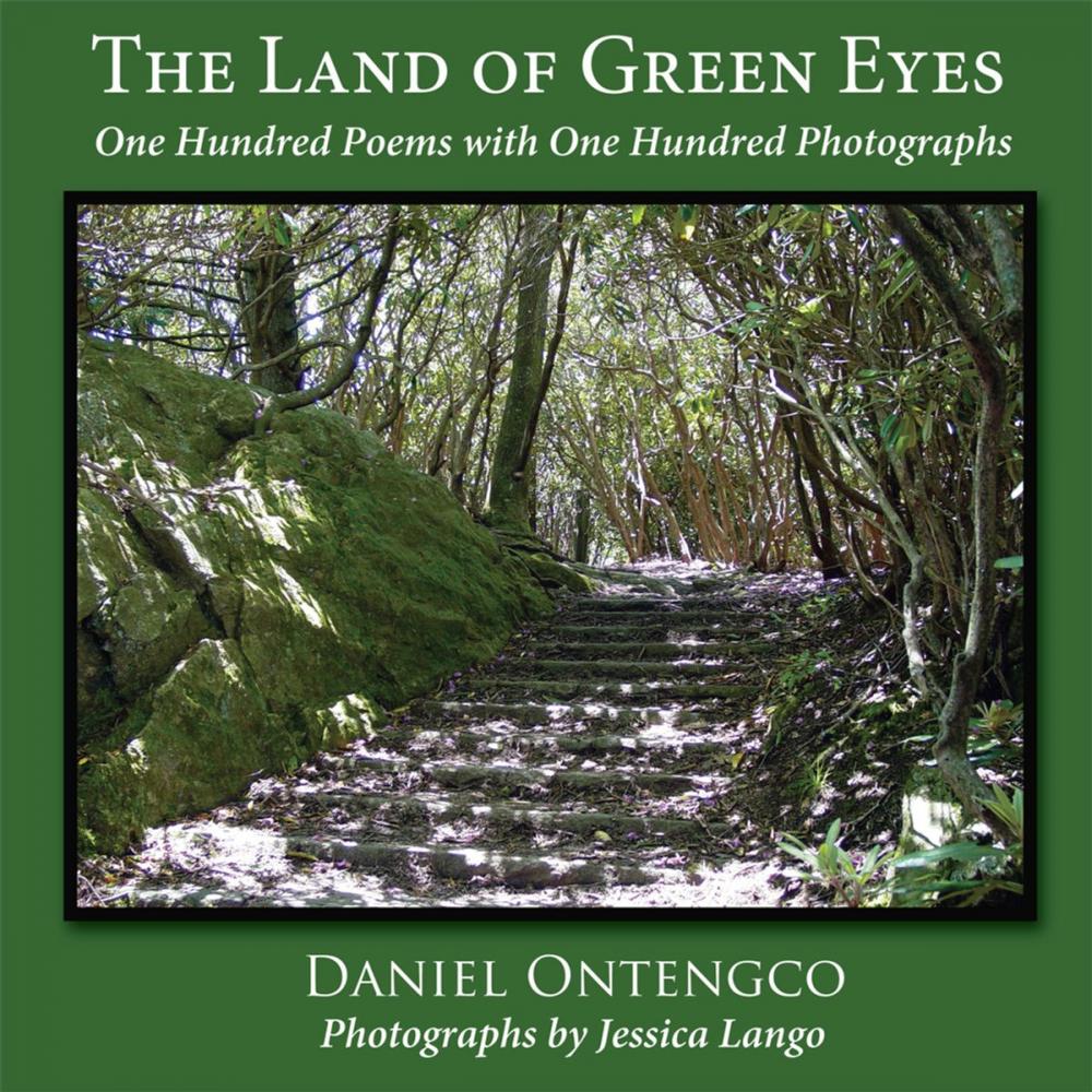 Big bigCover of The Land of Green Eyes