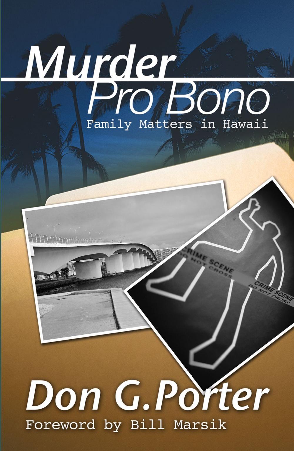 Big bigCover of Murder Pro Bono