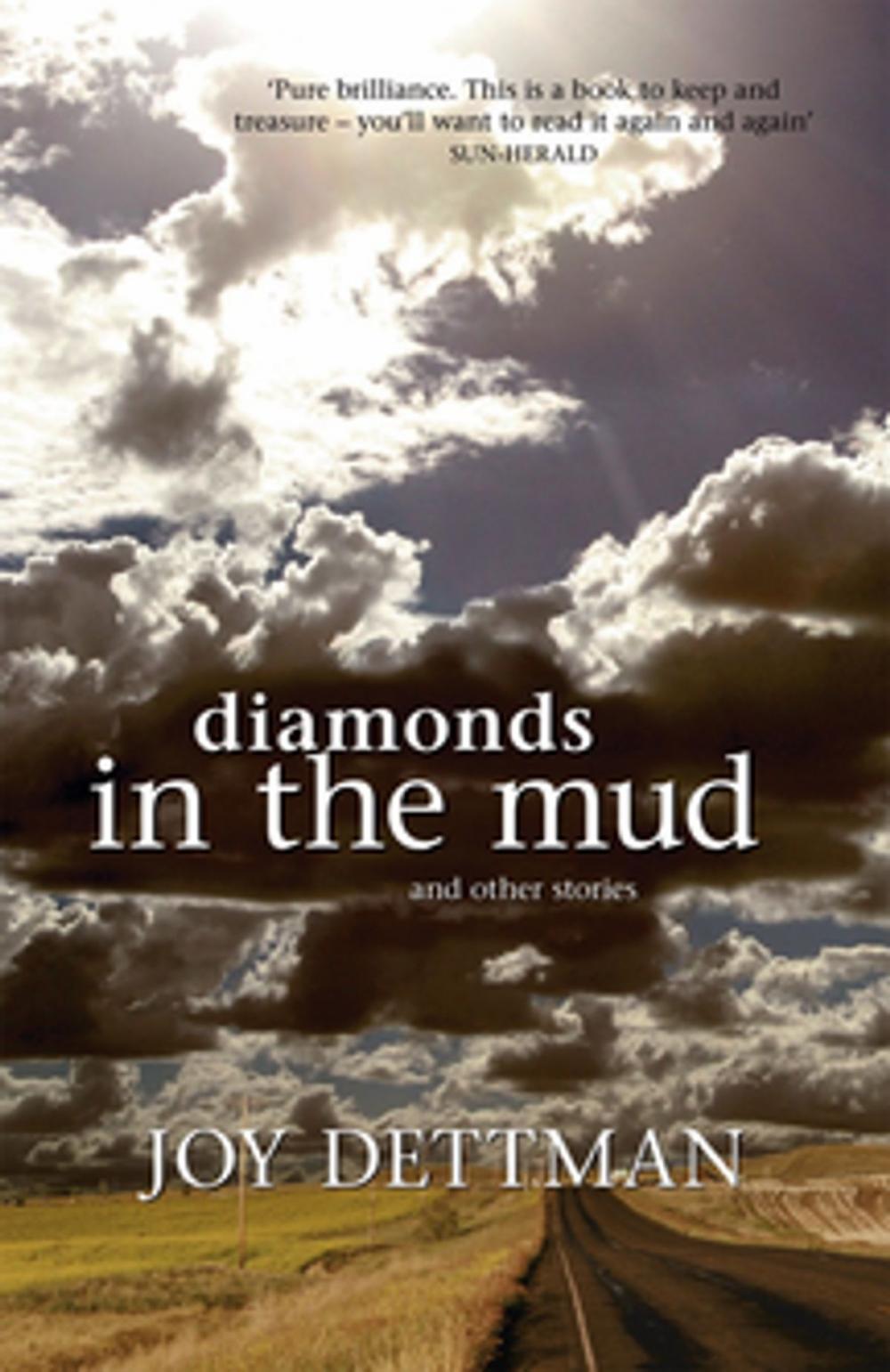 Big bigCover of Diamonds in the Mud and Other Stories