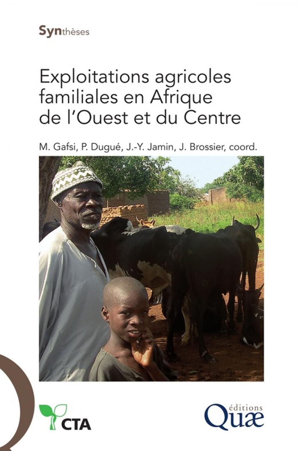 Big bigCover of Exploitations agricoles familiales en Afrique de l'Ouest et du Centre