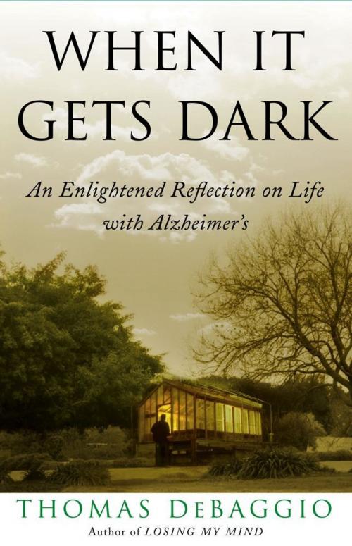 Cover of the book When It Gets Dark by Thomas DeBaggio, Free Press