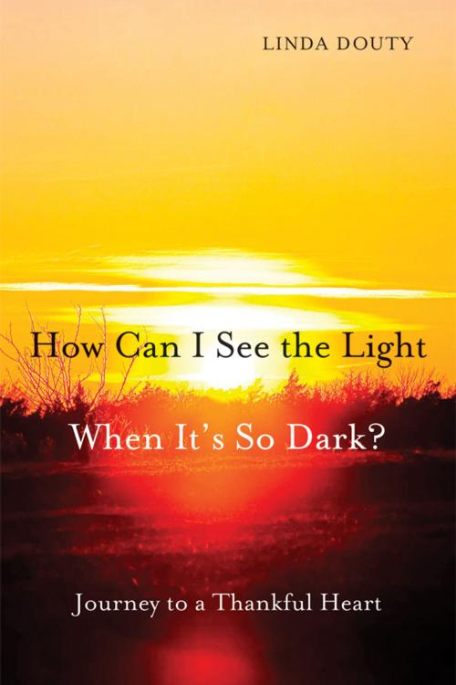 Cover of the book How Can I See the Light When It's So Dark? by Linda Douty, Church Publishing Inc.