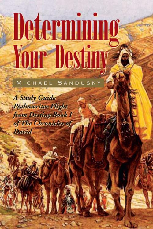 Cover of the book Determining Your Destiny by Michael Sandusky, Xlibris US